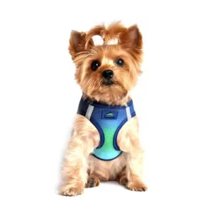 American River Dog Harness - Northern Lights