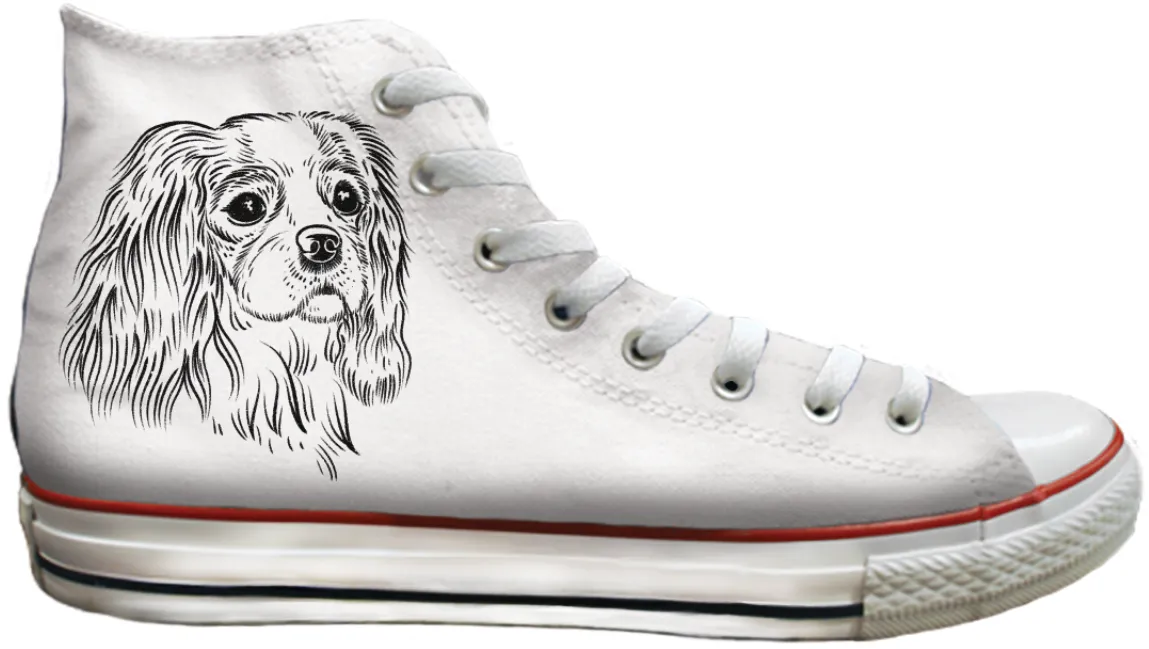 Baggins Original Hi top King Charles Cavalier