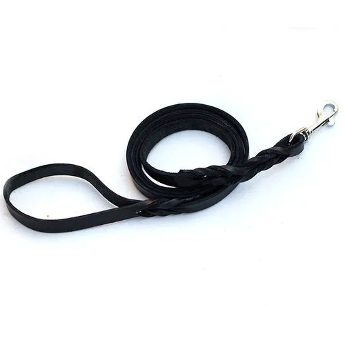 Black Standard 6' Leash