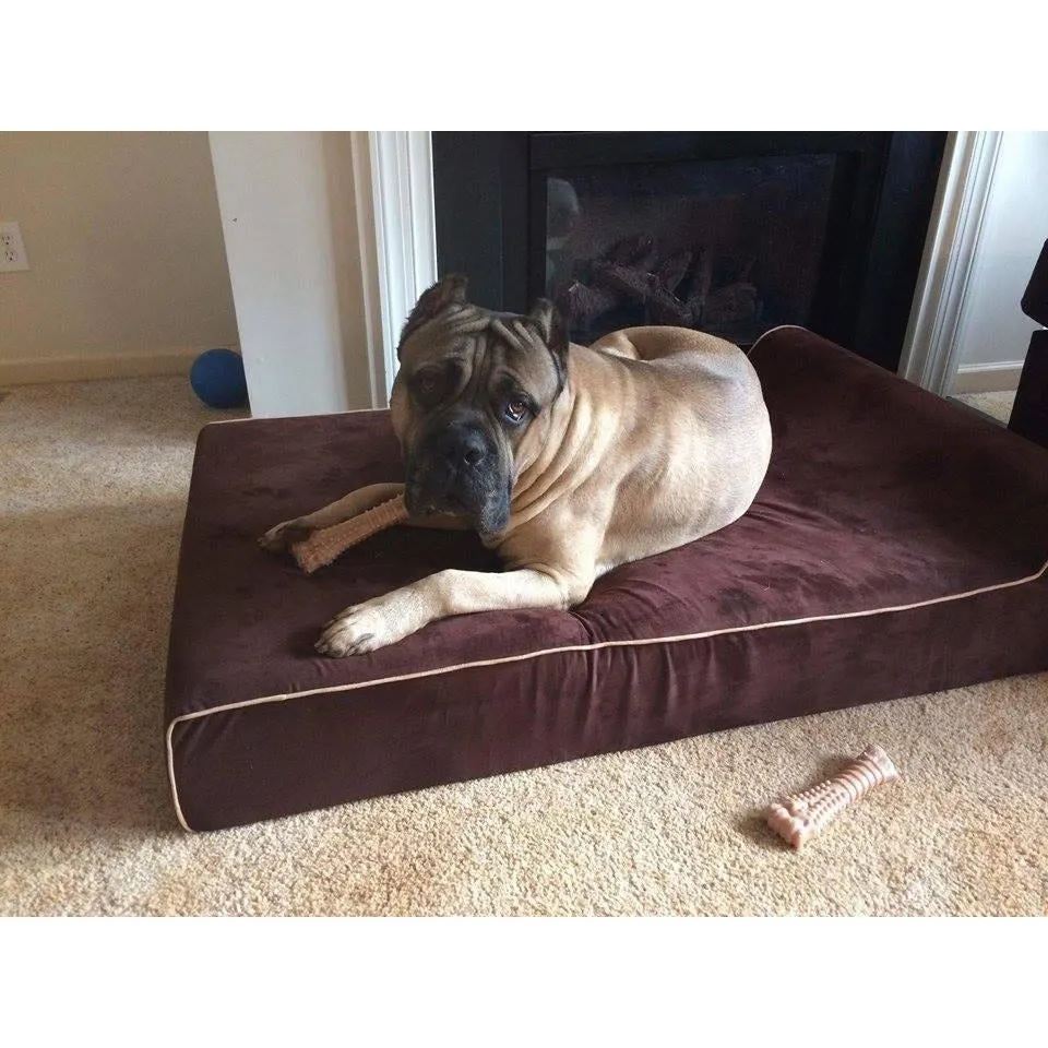 Bully Bed for Small Dogs