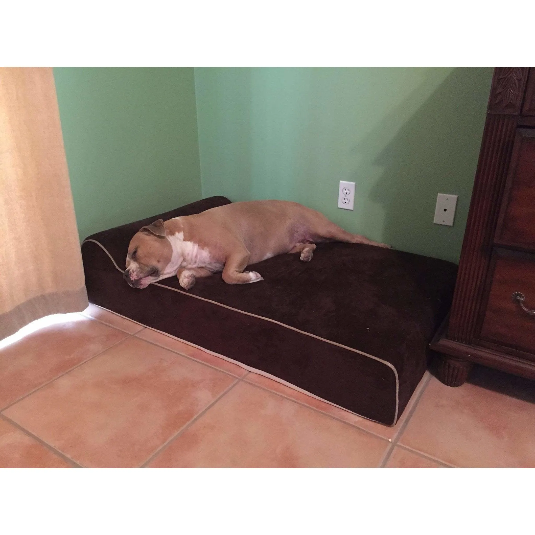 Bully Bed for Small Dogs