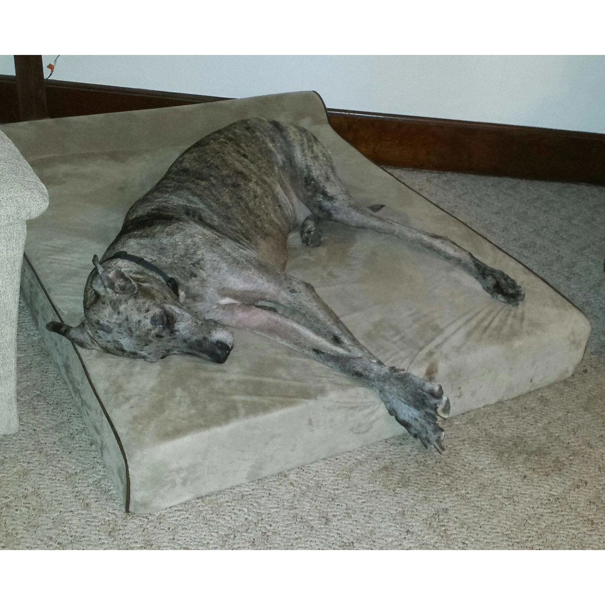 Bully Bed for Small Dogs