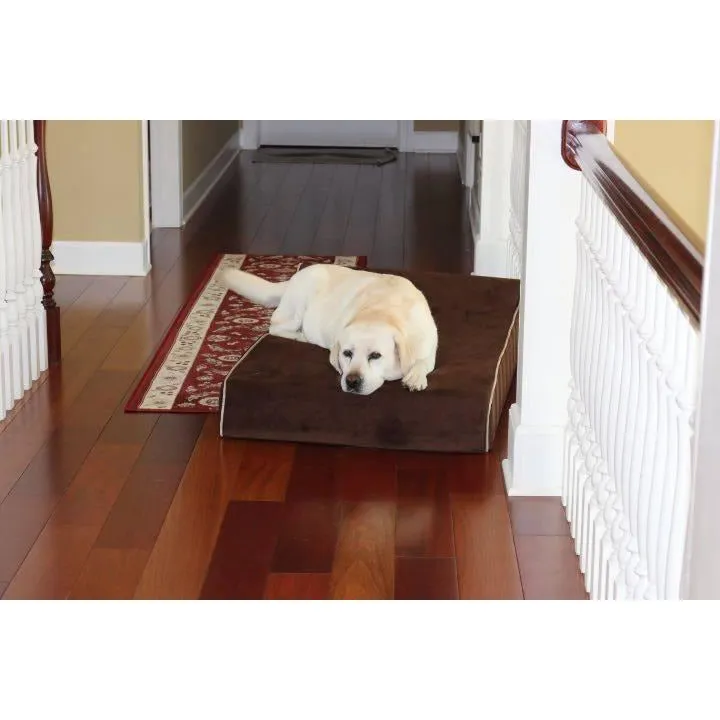 Bully Bed for Small Dogs