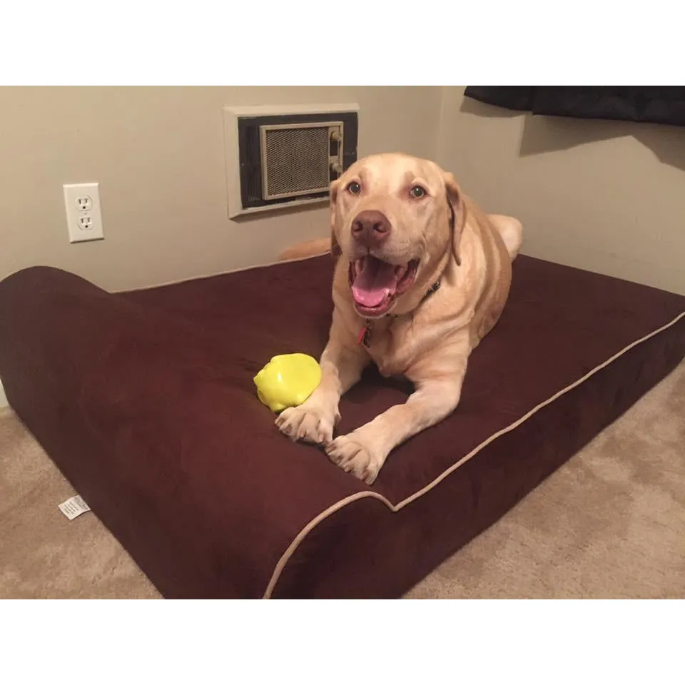 Bully Bed for Small Dogs