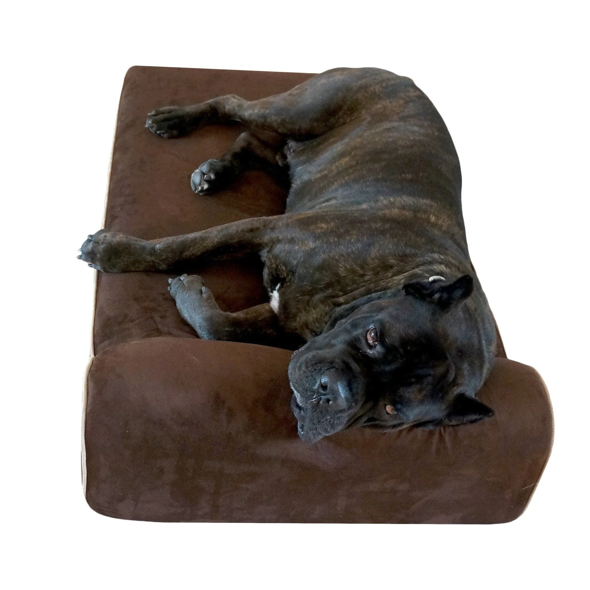 Bully Bed for Small Dogs