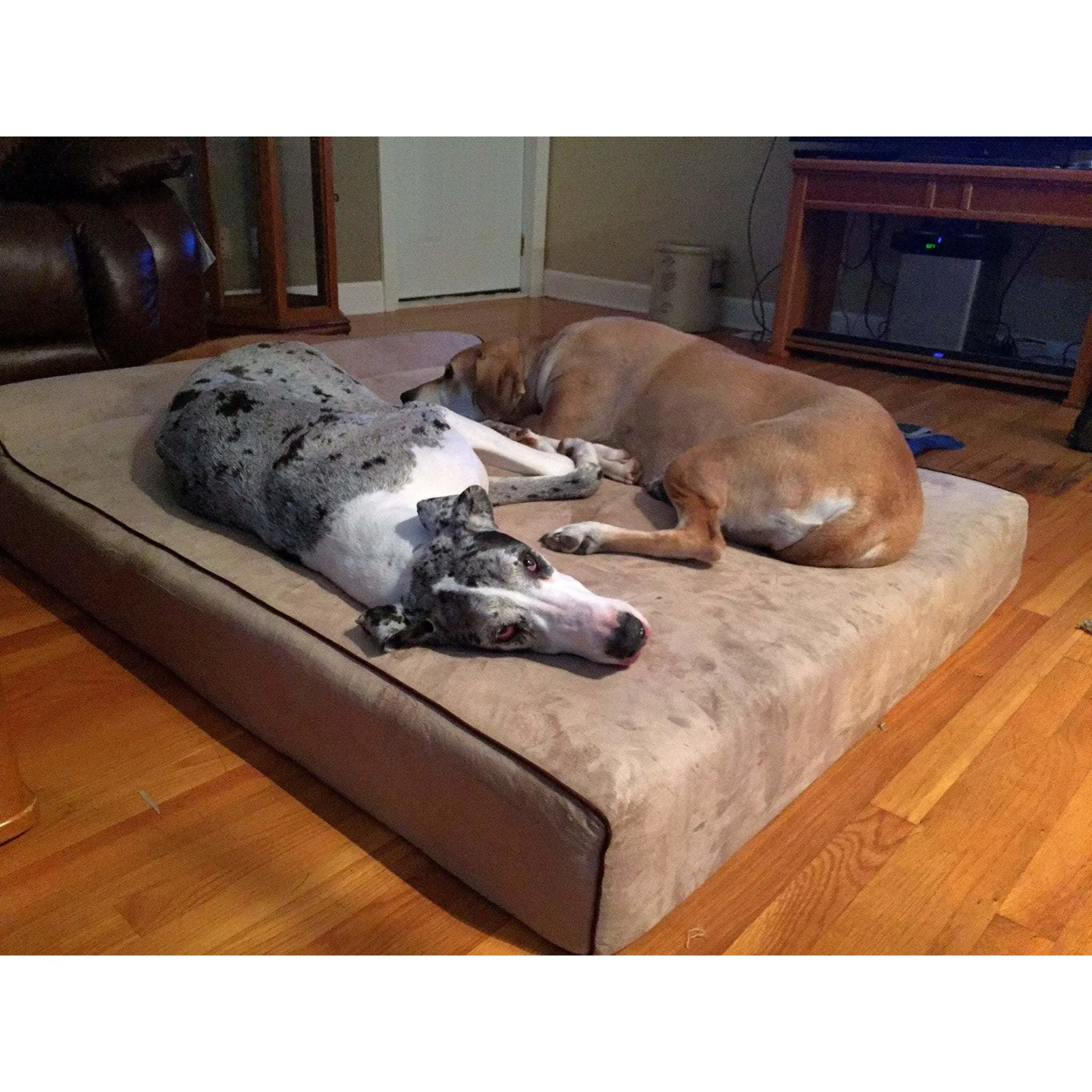 Bully Bed for Small Dogs