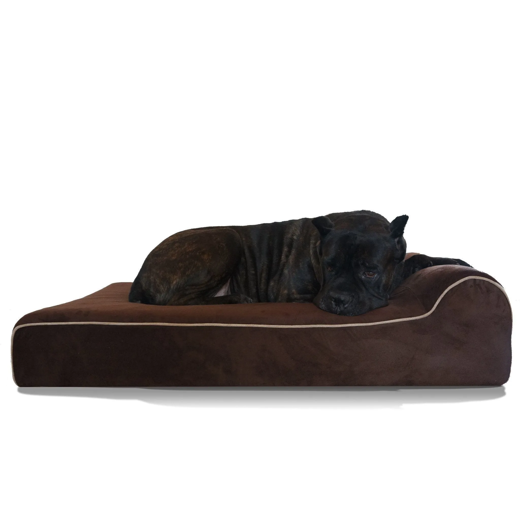 Bully Bed for Small Dogs