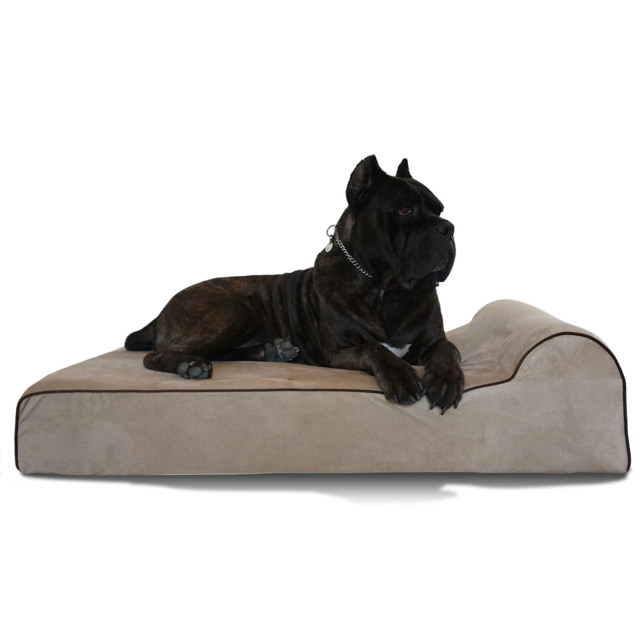 Bully Bed for Small Dogs