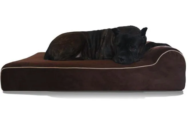 Bully Bed Orthopedic, Washable & Waterproof Big Dog Beds