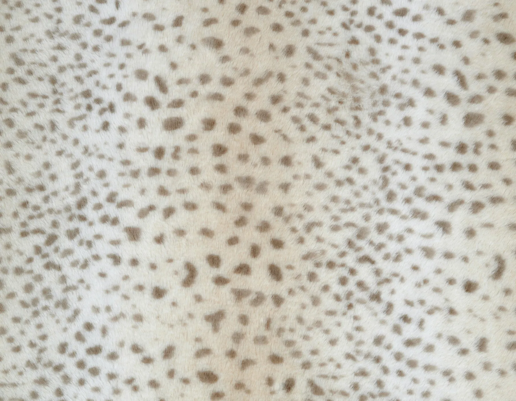 Cheetah Blanket