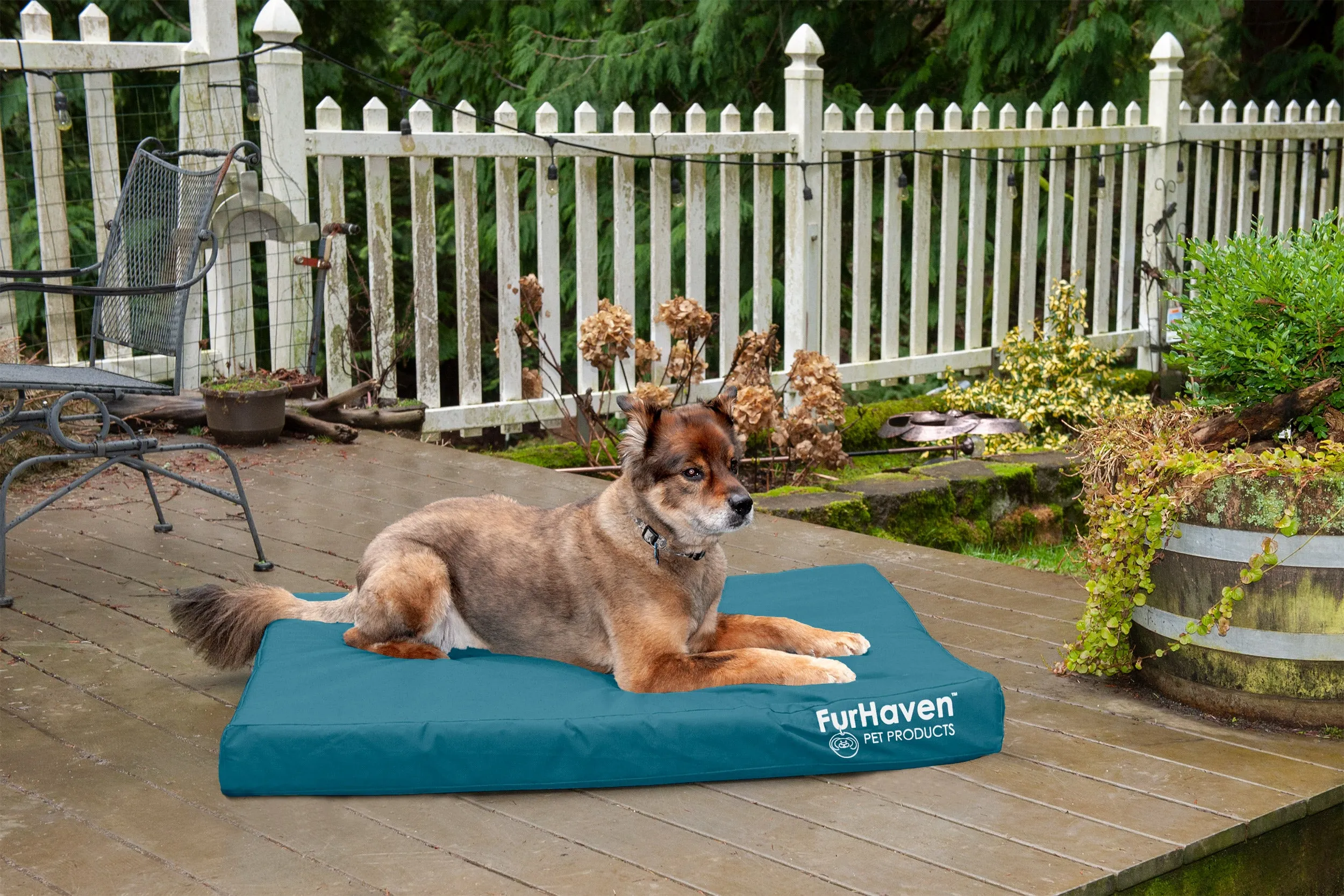 Deluxe Mattress Dog Bed - Indoor/Outdoor Oxford