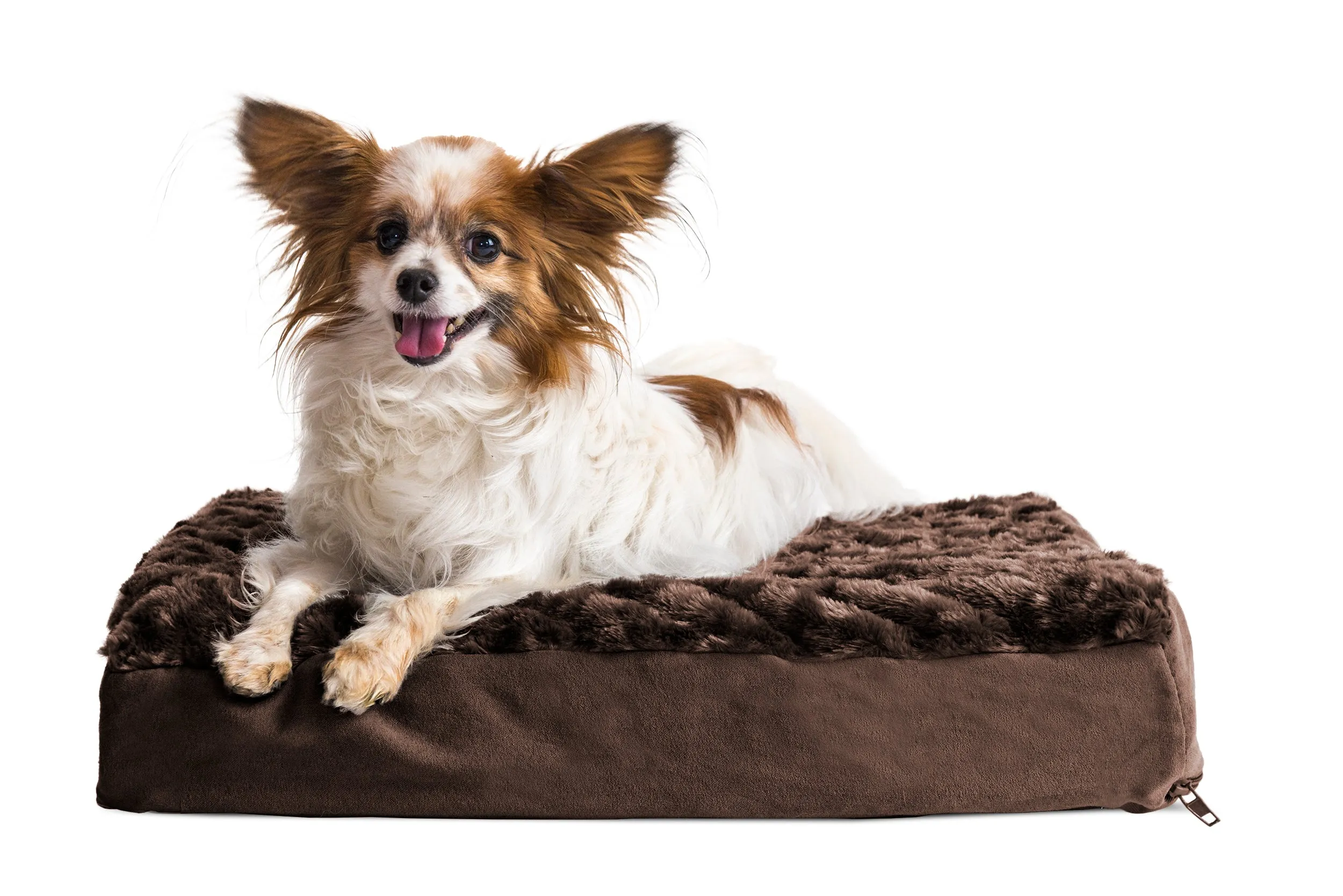 Deluxe Mattress Dog Bed - Ultra Plush