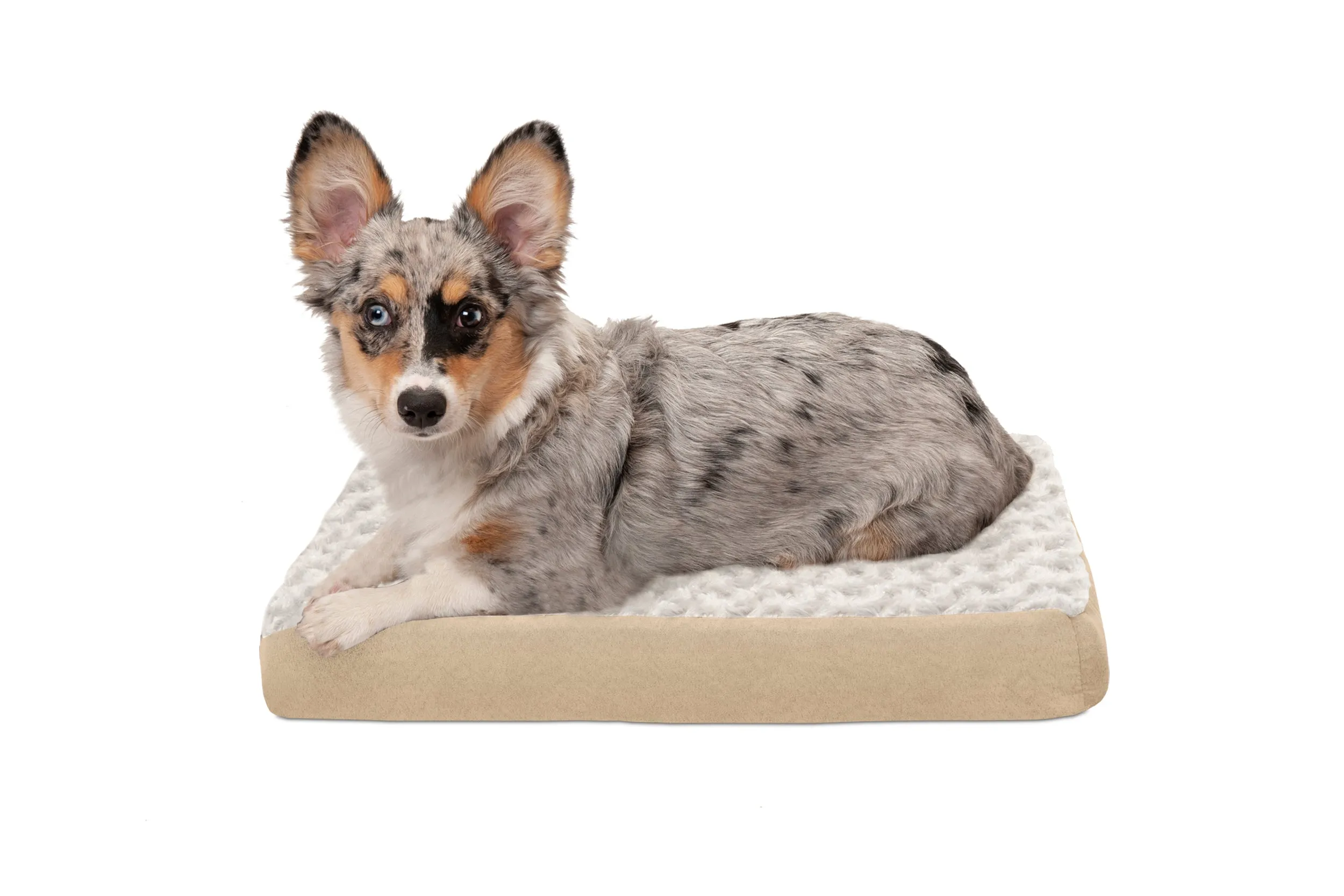 Deluxe Mattress Dog Bed - Ultra Plush