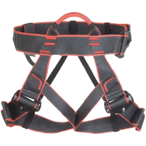 Edelweiss MYGALE II Harness