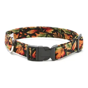 Elmo's Closet Autumn Glo Fall Leaves Dog Collar