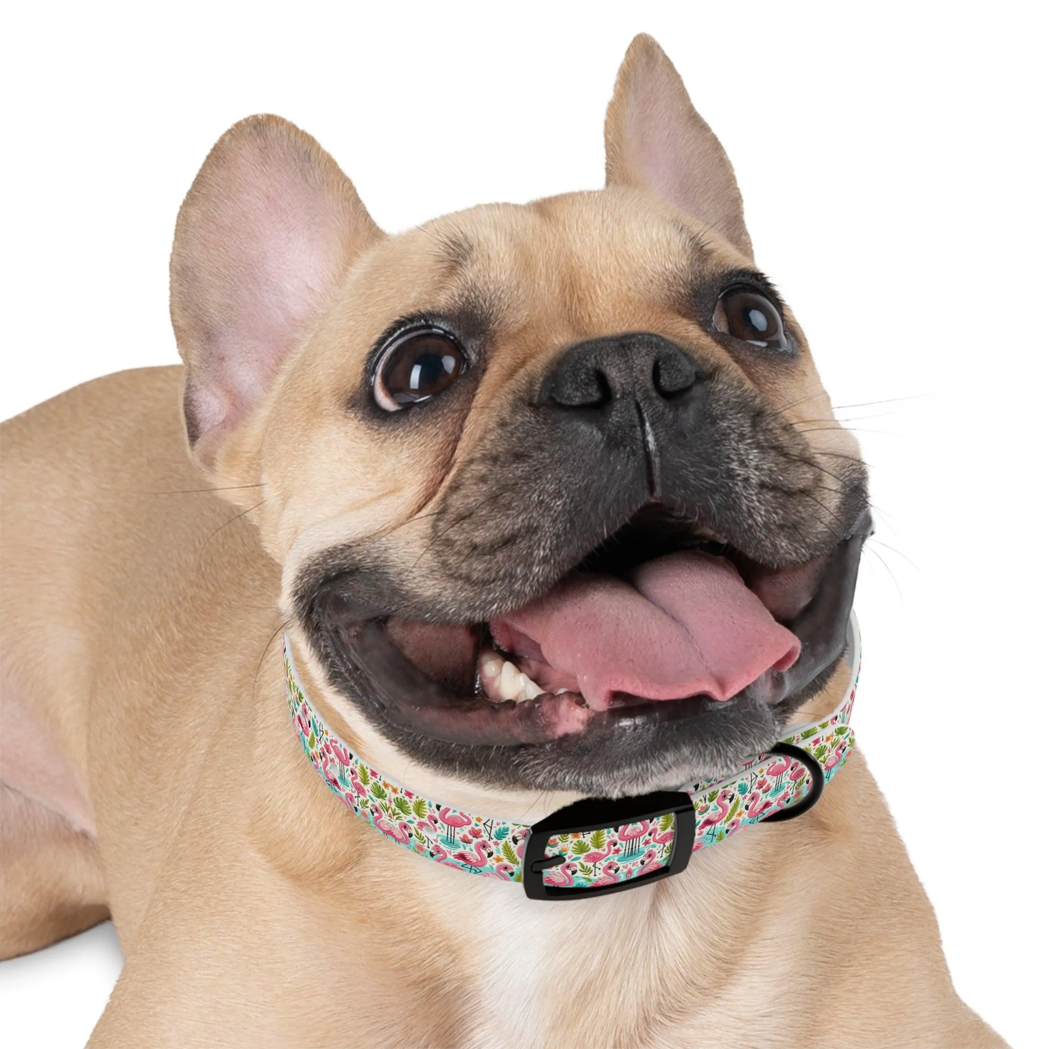 FancyFeather Flamingo Frenzy Dog Collar