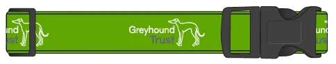 Greyhound Trust House Collar