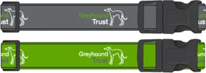 Greyhound Trust House Collar