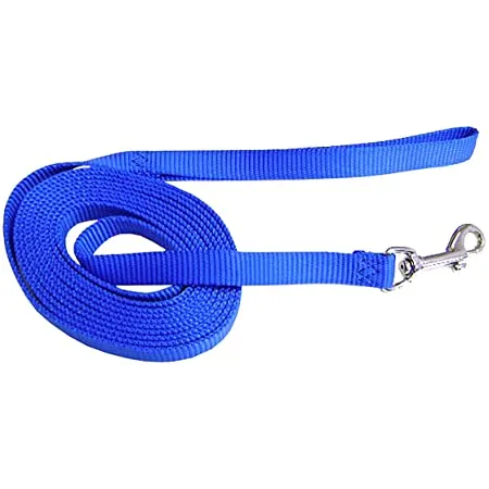 Hamilton - Training Lead 5/8" - Blue