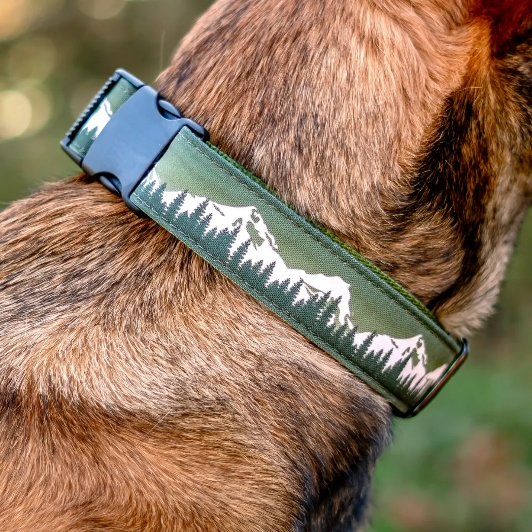 Juniper Dog Collar