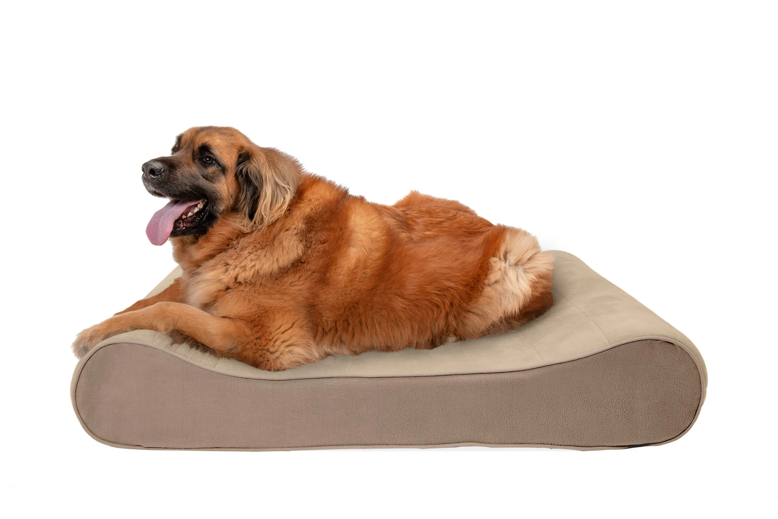 Luxe Lounger Contour Dog Bed - Microvelvet