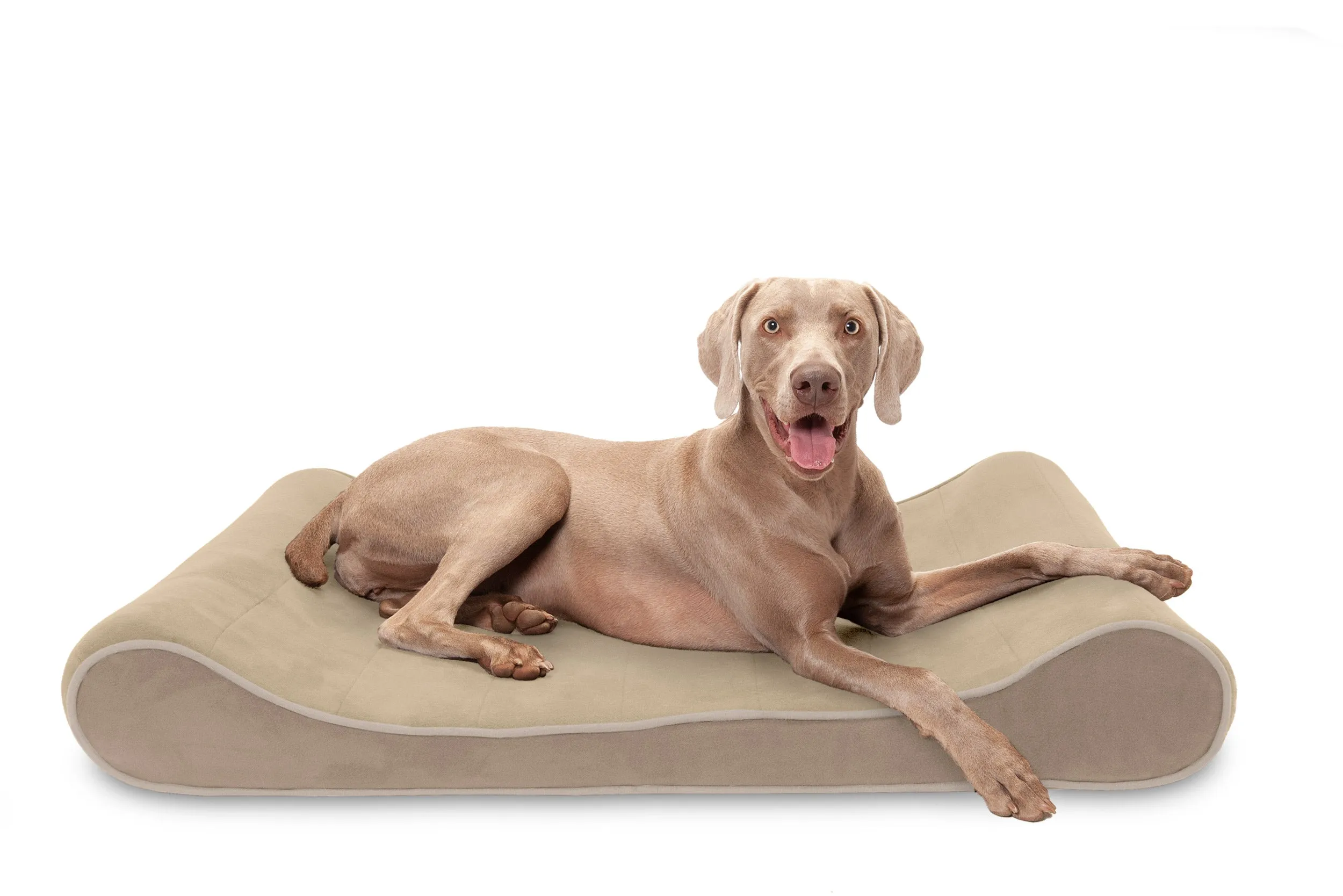 Luxe Lounger Contour Dog Bed - Microvelvet