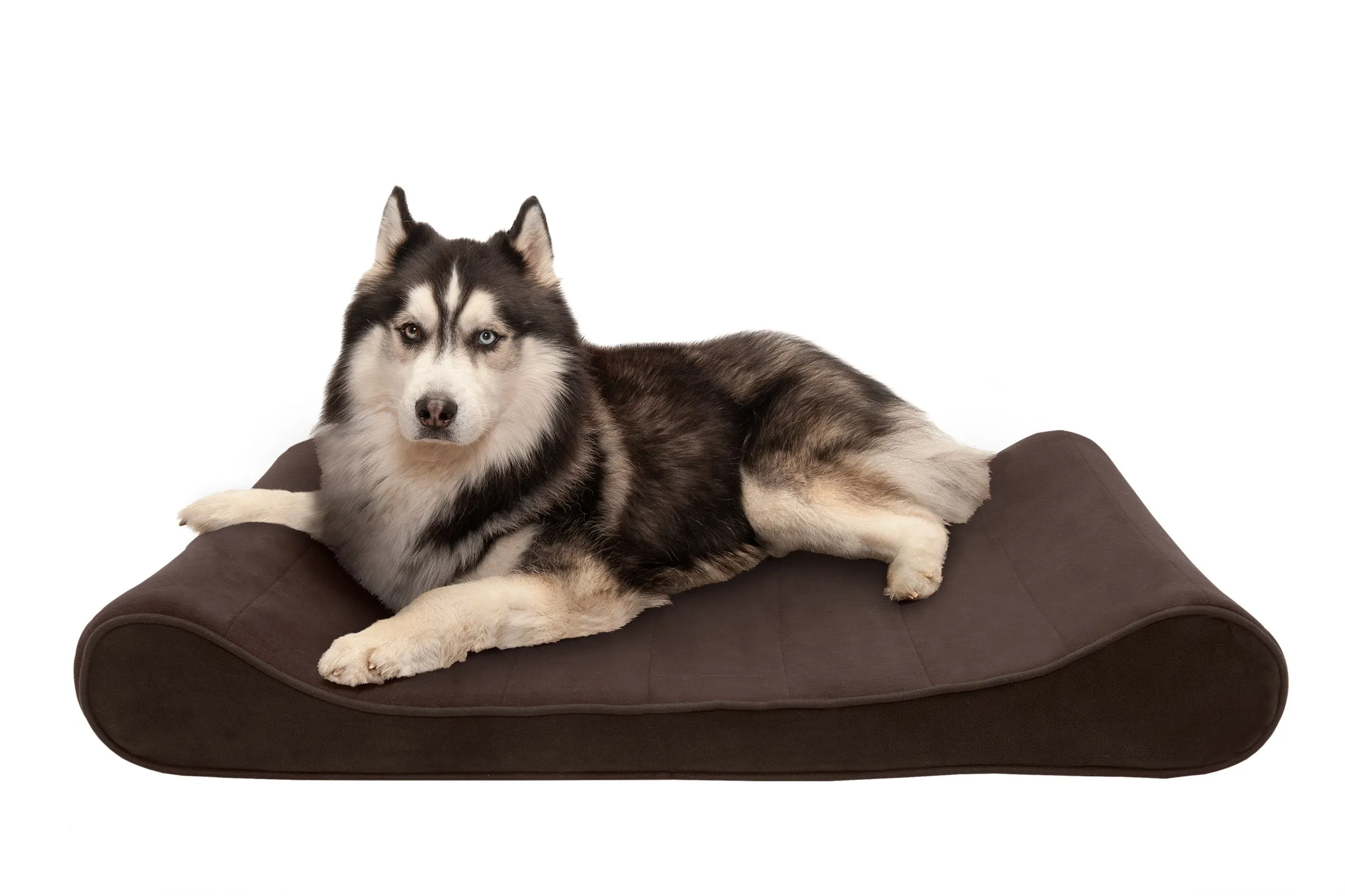 Luxe Lounger Contour Dog Bed - Microvelvet