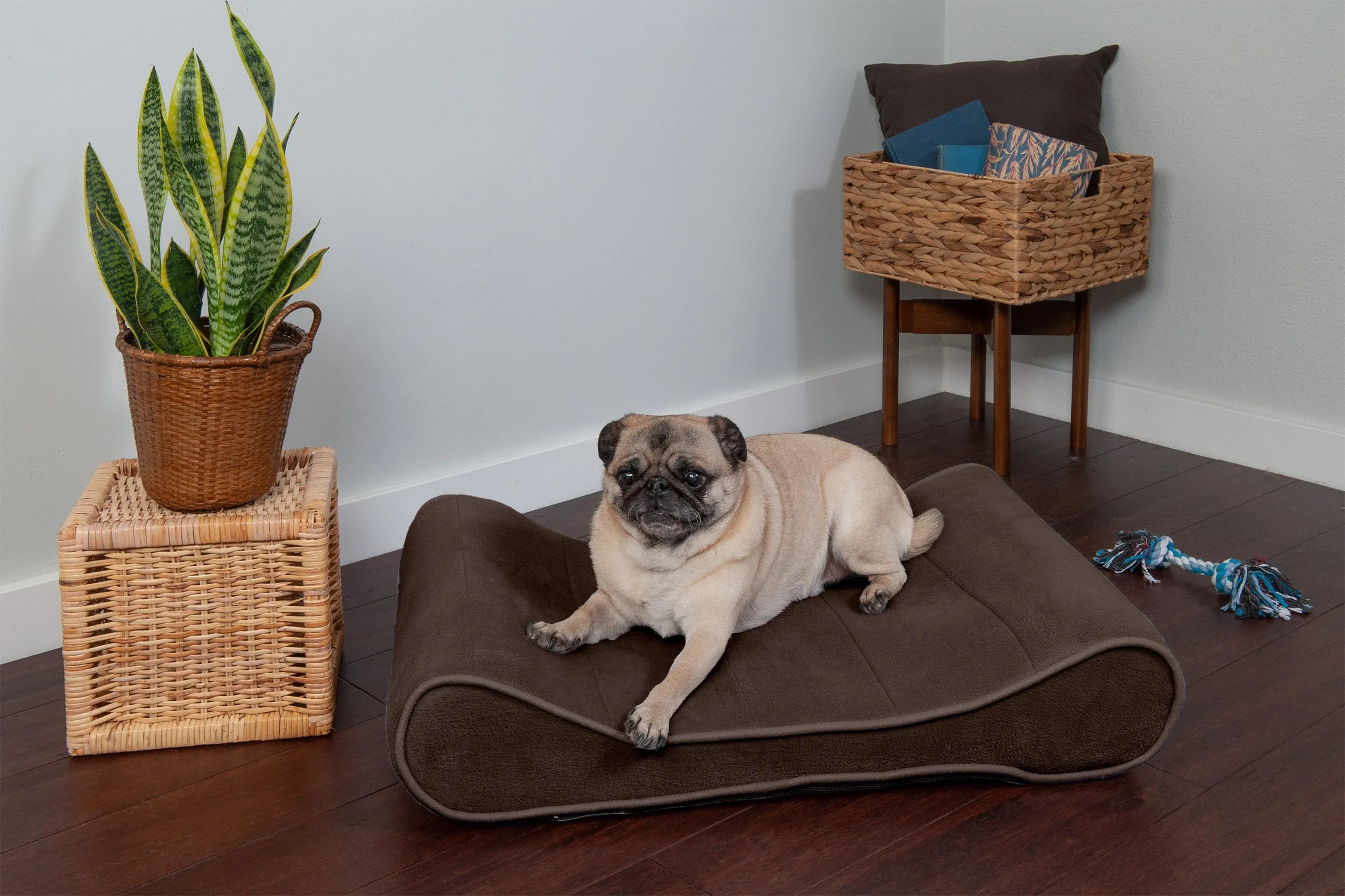 Luxe Lounger Contour Dog Bed - Microvelvet