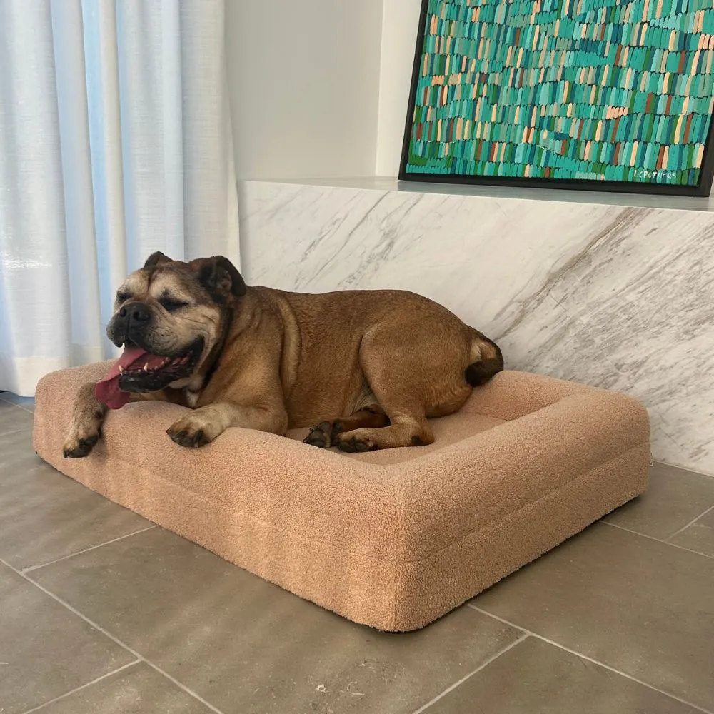 Memory Foam Dog Bed - Polar Fleece Clay