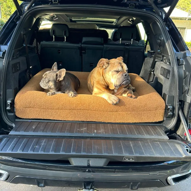 Memory Foam Dog Bed - Polar Fleece Golden Brown