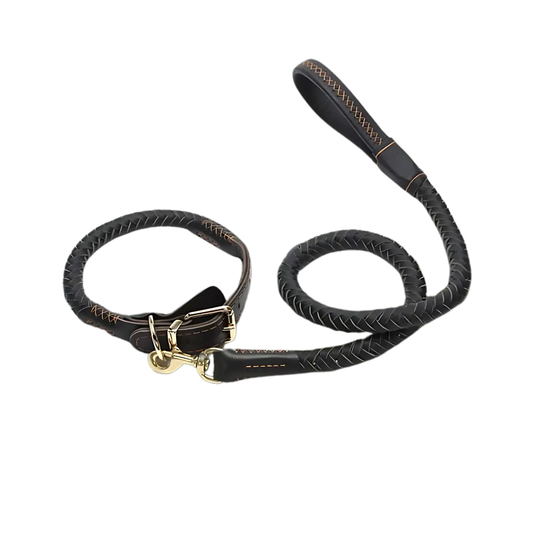 Mont Blanc Heritage Collar & Leash