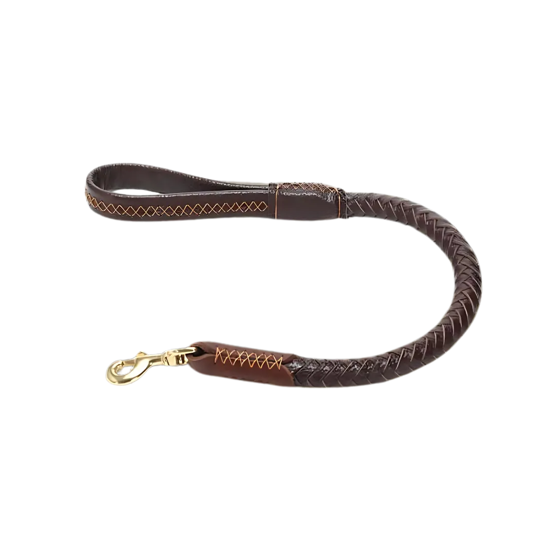 Mont Blanc Heritage Collar & Leash