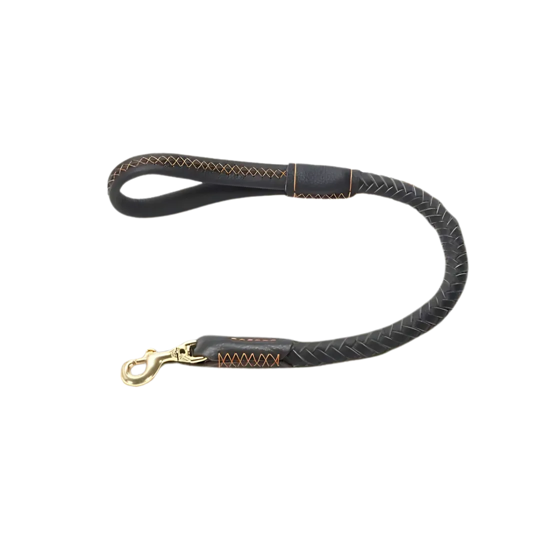 Mont Blanc Heritage Collar & Leash