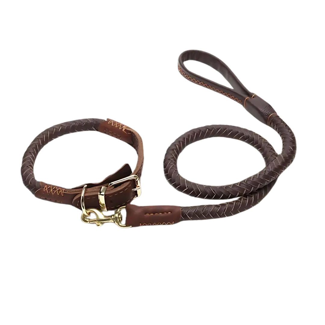 Mont Blanc Heritage Collar & Leash