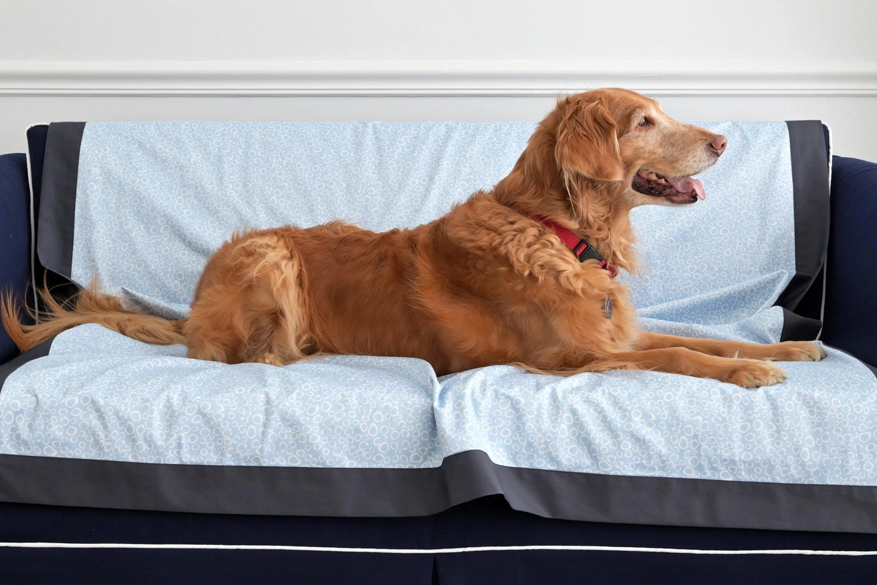 Organic Cotton Dog Coverlet, Blue