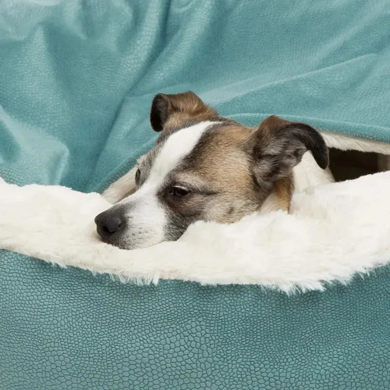 Orthopedic Pet Bed with Integrated Hooded Blanket