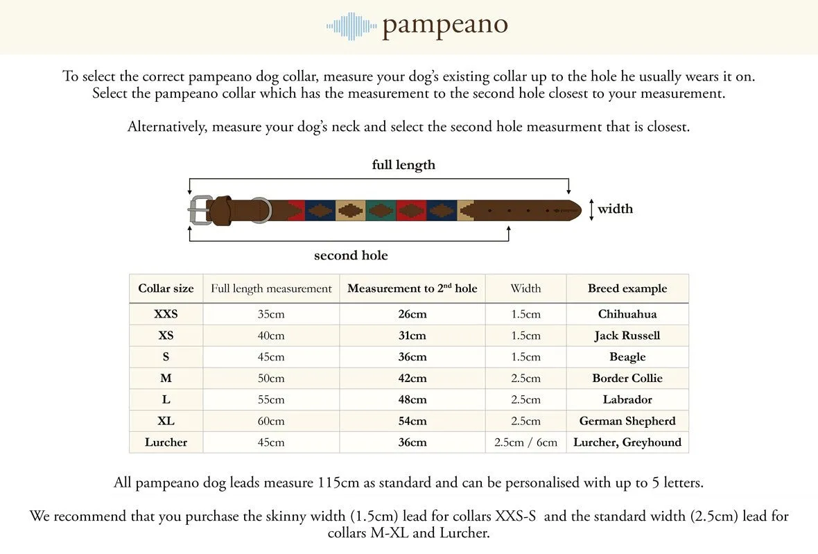 Pampeano Dog Collar