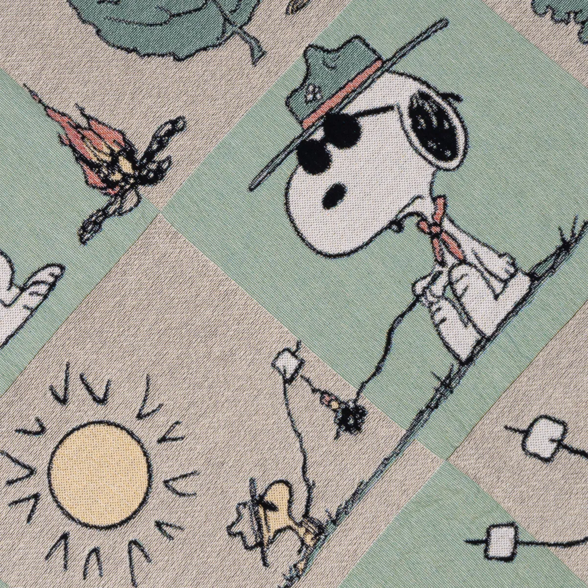 Peanuts x Parks Project Woven Blanket