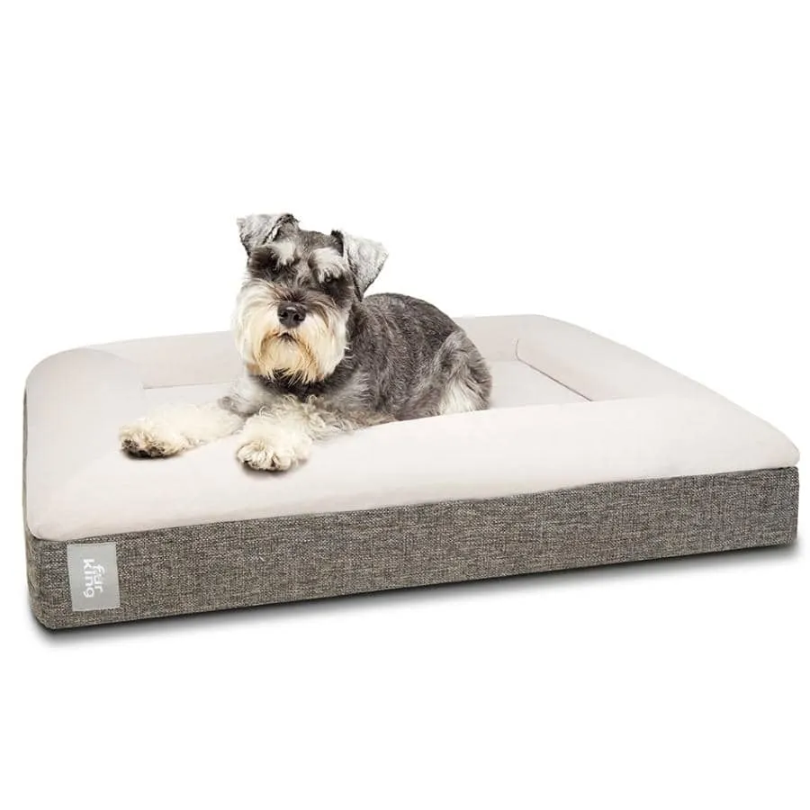 "Ortho" Orthopedic Dog Bed - Medium