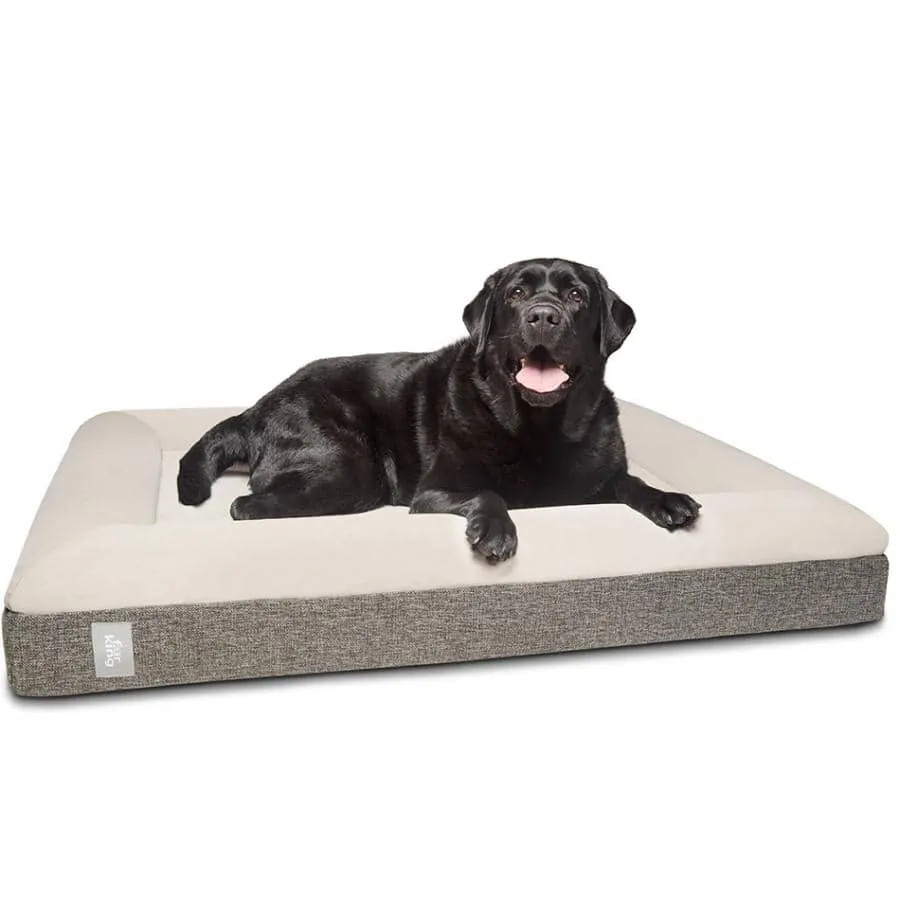 "Ortho" Orthopedic Dog Bed - Medium