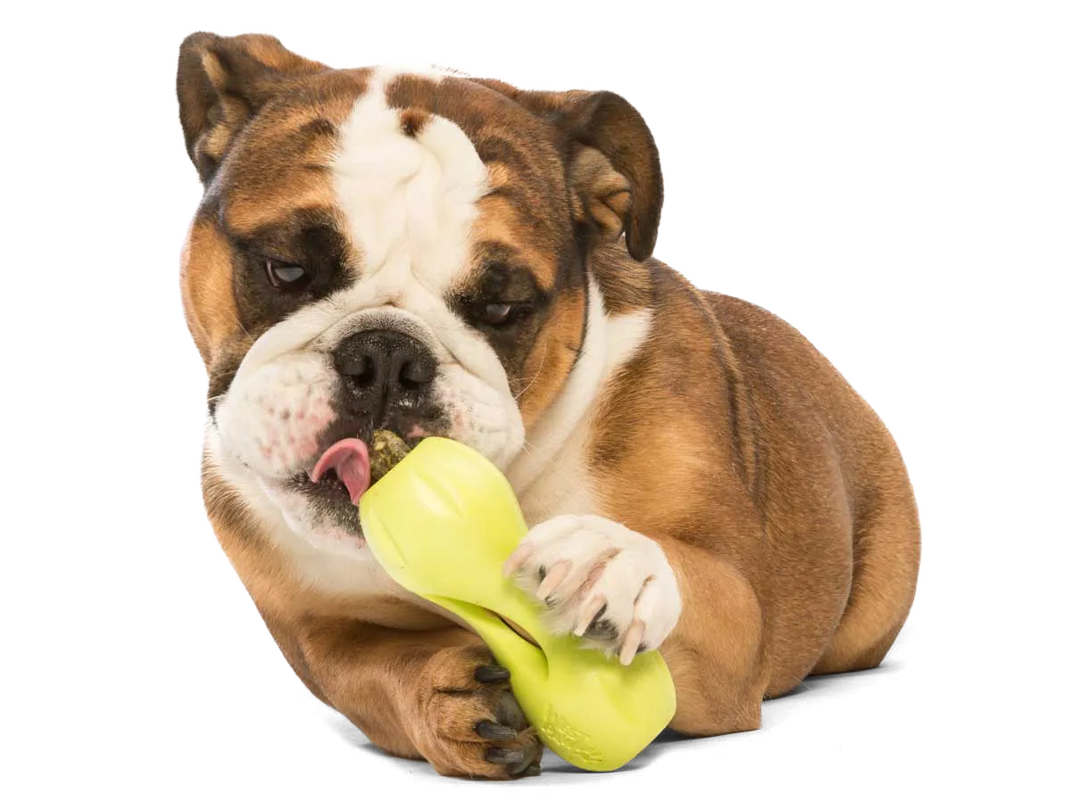 Qwizl Dog Treat Toy