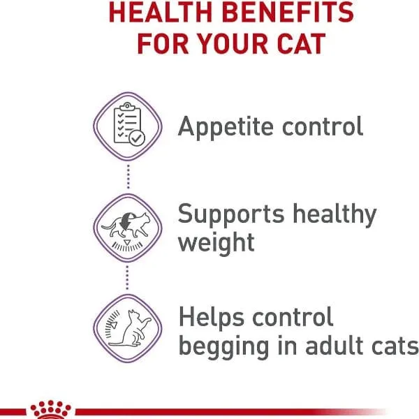 Royal Canin Appetite Control Care Dry Adult Cat Food