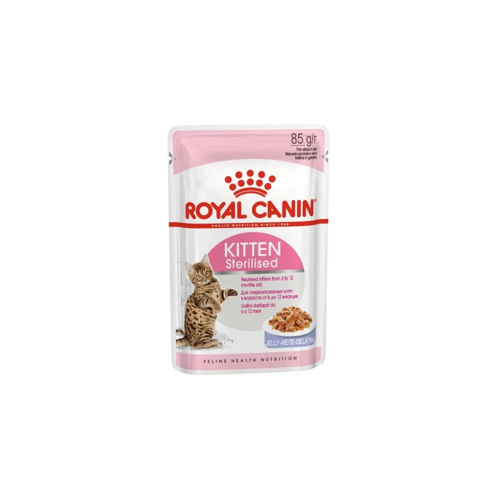 Royal Canin Feline Health Nutrition Kitten Sterilised in Jelly Wet Cat Food Single 85g