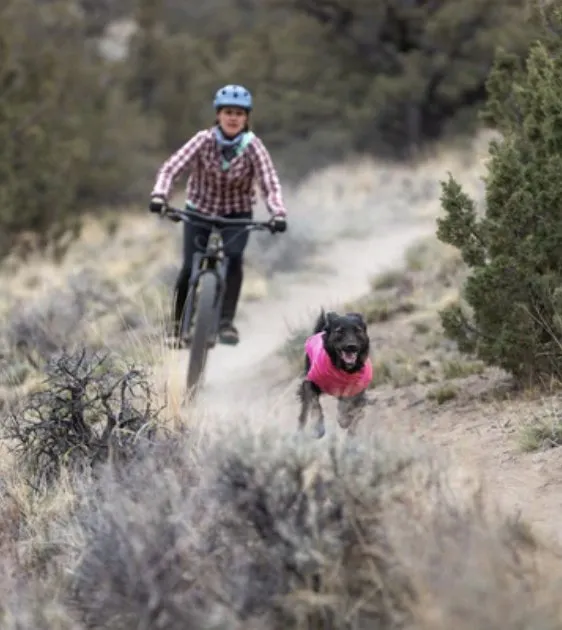 Ruffwear Hi & Light™ Trail Dog Shoes (Blue Pool)