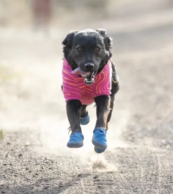 Ruffwear Hi & Light™ Trail Dog Shoes (River Rock Green)