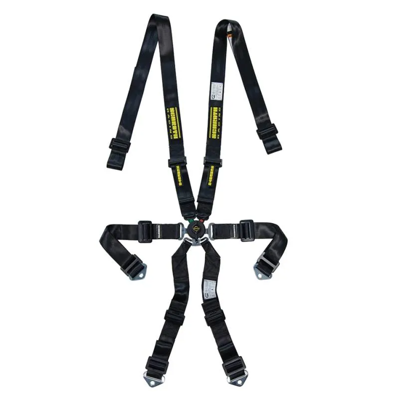 Schroth Profi 2x2 Harness - 6-Point - Pull Up Lap - Black