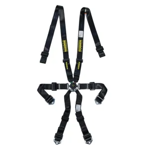 Schroth Profi 2x2 Harness - 6-Point - Pull Up Lap - Black