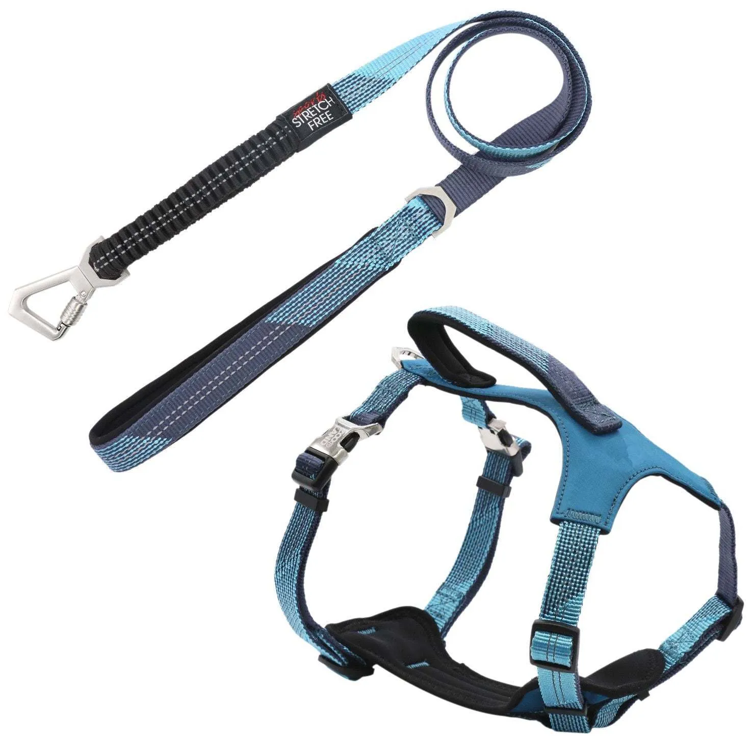 Shock Absorbing Neoprene Padded Reflective Dog Leash