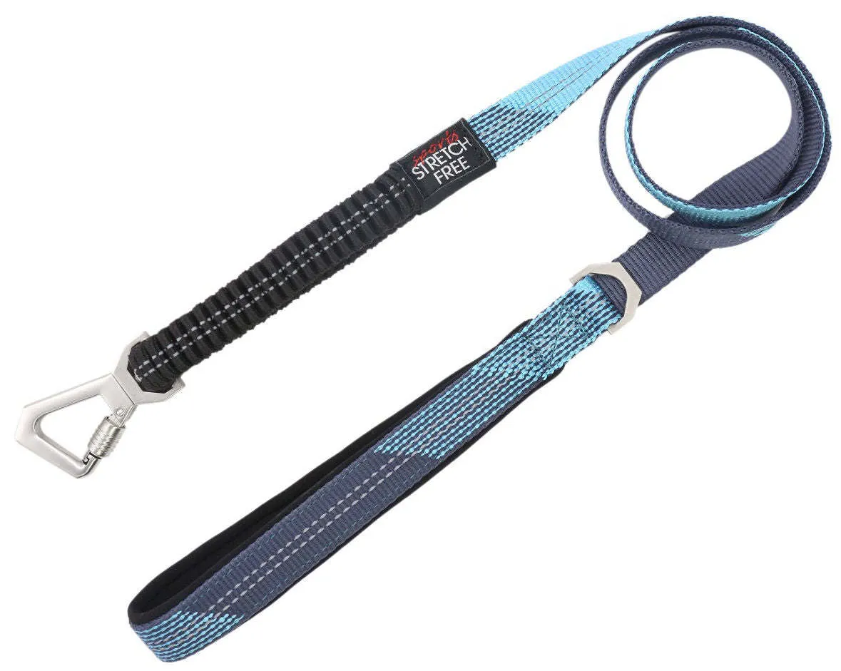 Shock Absorbing Neoprene Padded Reflective Dog Leash