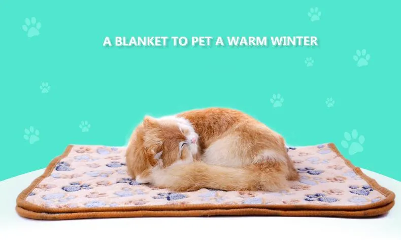 Soft Flannel Cat Sleeping Blanket